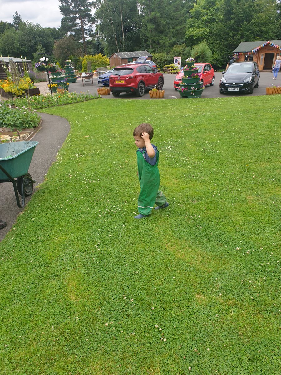 Digging for potato treasure. #allotment #earlymorning #potatoes #peas #onions <a href="/HughFW/">Hugh Fearnley-Whittingstall</a> <a href="/cogc_gardens/">City Gardens</a> <a href="/TheMontyDon/">Monty Don</a>