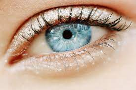 jullia_smith's tweet photo. Refractive Myopia is attributed to the condition of the refractive elements of the eye. https://t.co/Cwg7g4otsX