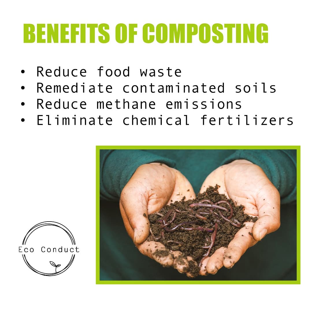 EcoConduct's tweet photo. Humans generated approximately 1.3 billion tonnes of food waste every year. This is equivalent to 216,666,666 elephants!🤦‍♂️ 
One of the methods to reduce food waste is to compost them. Start composting to achieve a greener, better earth!💚
#compost #foodwaste  #waronwaste #nature https://t.co/U2KRPjM6d5