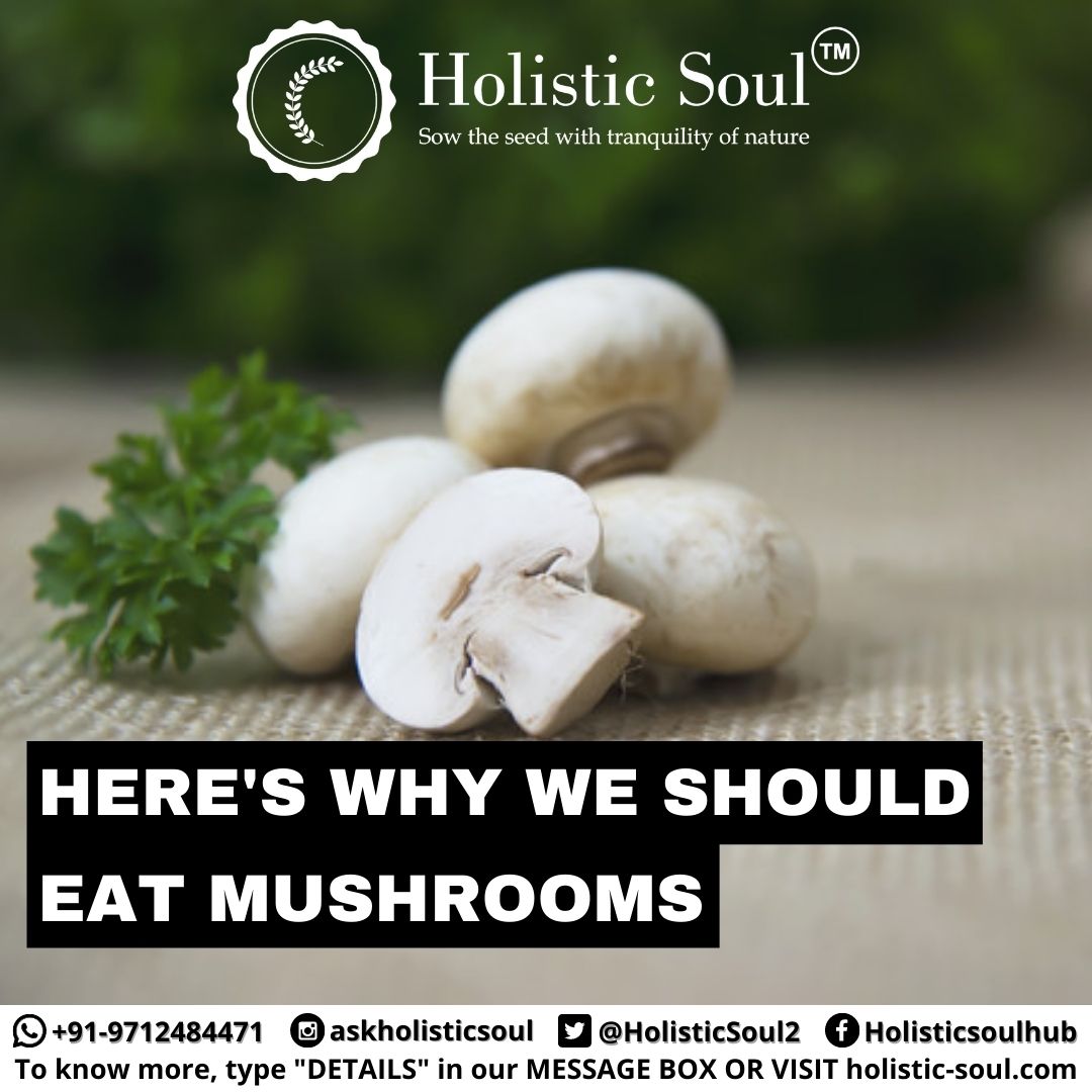 HolisticSoulhub's tweet photo. Mushrooms are a rich, low calorie source of fiber, protein, and antioxidants. They protect the body from damaging free radicals, support the immune system, improve cholesterol and heart health, regulate blood sugar and so much more.

#Mushrooms #EatHealthy #VantageNutrition https://t.co/xs1cfFKcGO