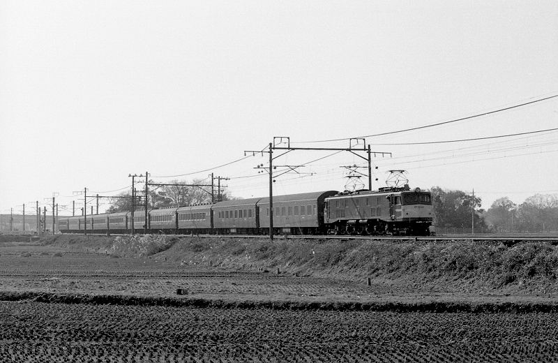 リベロ Trainribero Twitter