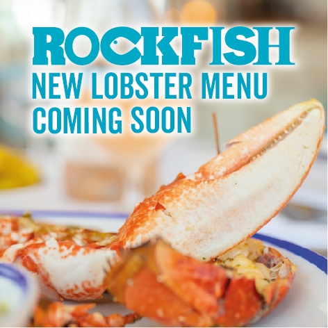 therockfishuk's tweet photo. 🦞 Get ready to get cracking with our new lobster menu. Coming soon! 🥂
#therockfishuk #rockfishlobster #lobster #lobstermenu #nativelobster #locallobster https://t.co/UQUCrd4DVI