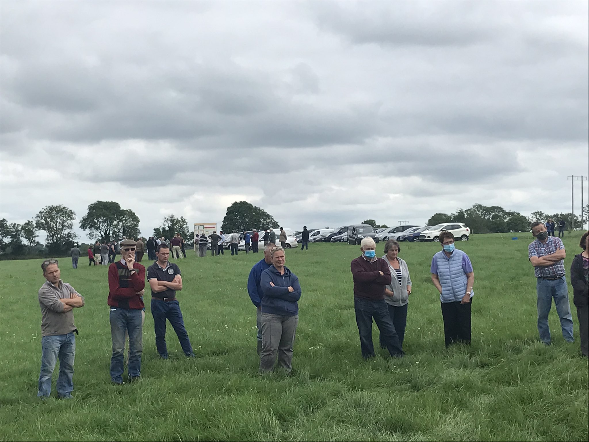 Teagasc Beef on Twitter "Great to be back out putting on beef farm