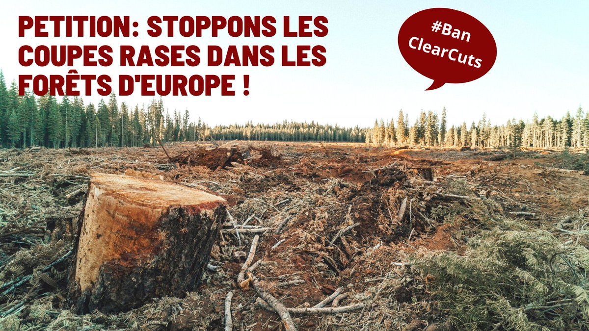 salima_yenbou's tweet photo. 🌳❌La coupe à blanc de forêts est encore une pratique forestière courante et légale dans de nombreux pays européens. Celle-ci a des effets dramatiques sur l’environnement et devrait être interdite !

Aidez-nous en signant la pétition
⬇️
https://t.co/ZIuGdwiZX9

#BanClearCuts https://t.co/HiXviMmliT