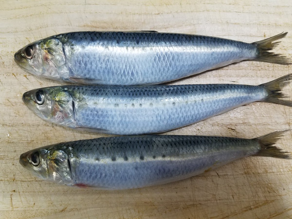 頭よくなる Twitter Search