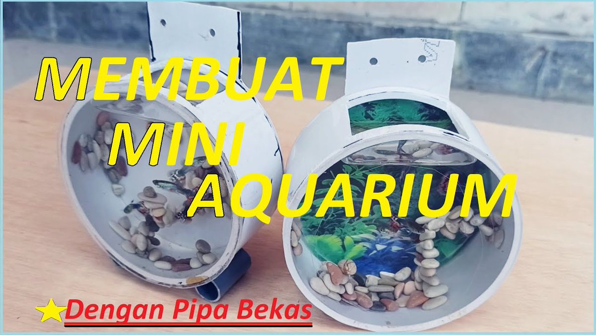 Aquariums: Mini Aquarium ...
 
#aquarium100x30x30 #caramembuat #caramembuataquarium #membuataquariumsendiri
 
flakefood.com/330990/aquariu…