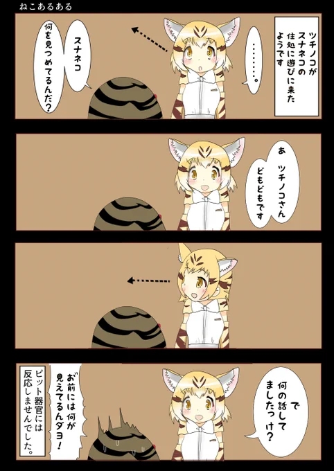 さばくコンビとねこあるある 