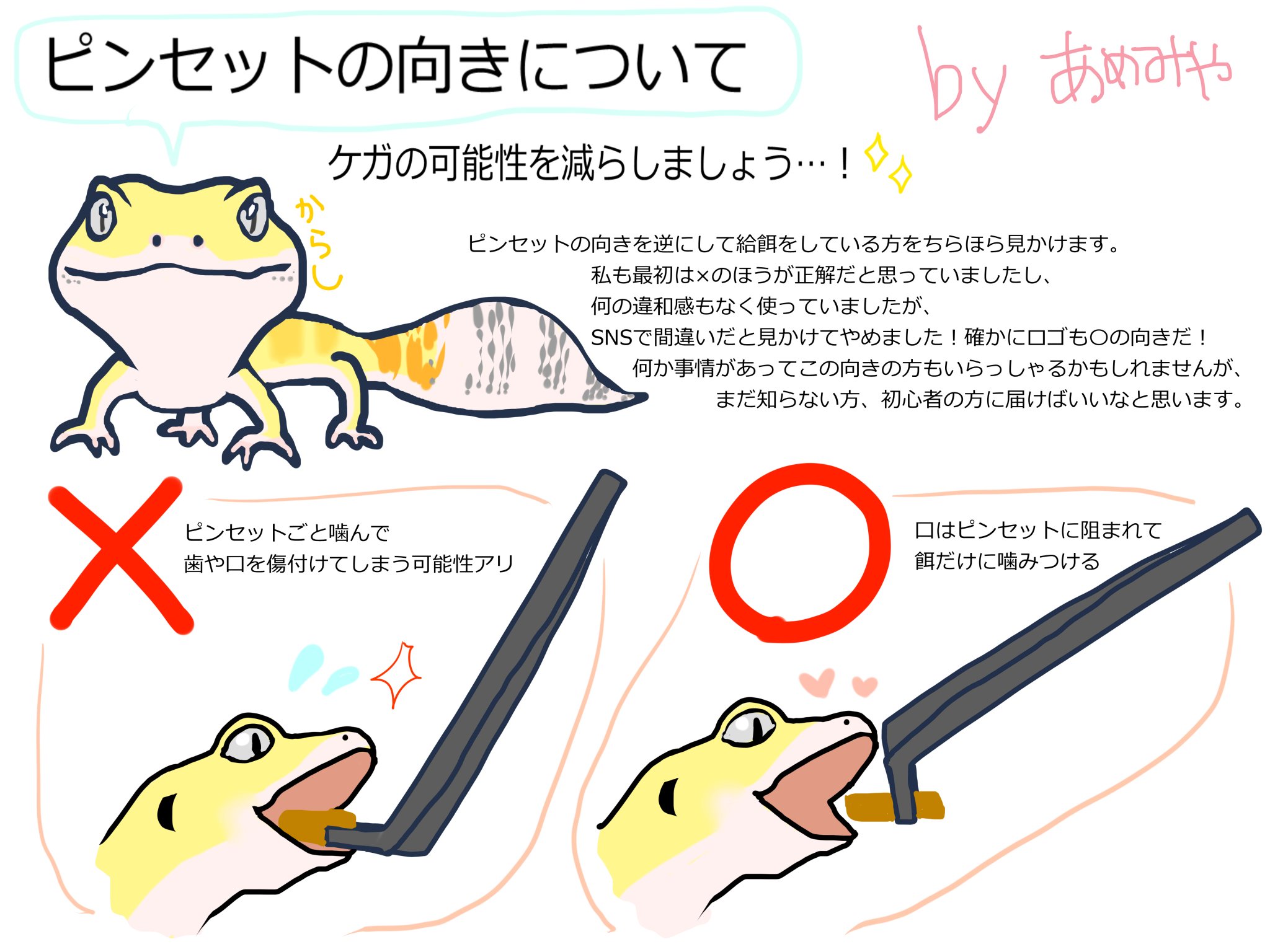 爬虫類　両生類のピンセット　2本