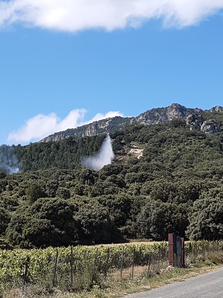 112_SOSDeiak's tweet photo. 🌳🔥 Baso-sute simulazioa #Samaniego #Araba inguruan

➡️ Honako hauekin batera parte hartzen dugu:
@BomberosAraba
@Araba @Bizkaia
@SuhiltzaileGIP 
@lariojaorg

#Prebentzioa #simulazioa https://t.co/hZqoz5MQqW