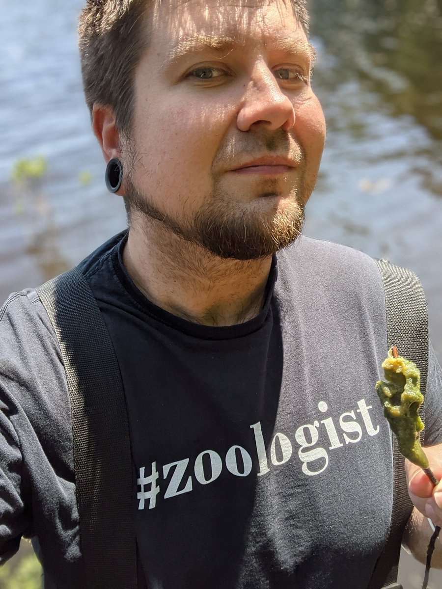 sponge_research's tweet photo. #spongethursday
Dr. Kolomyjec collecting freshwater sponges with his undergraduate research students!
#MyLakeState
@LifeatLSSU https://t.co/XVXMfDIGSE