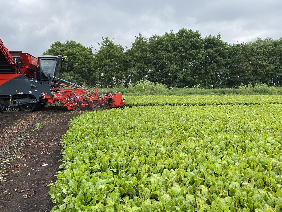 Greg Colebrook tweet media