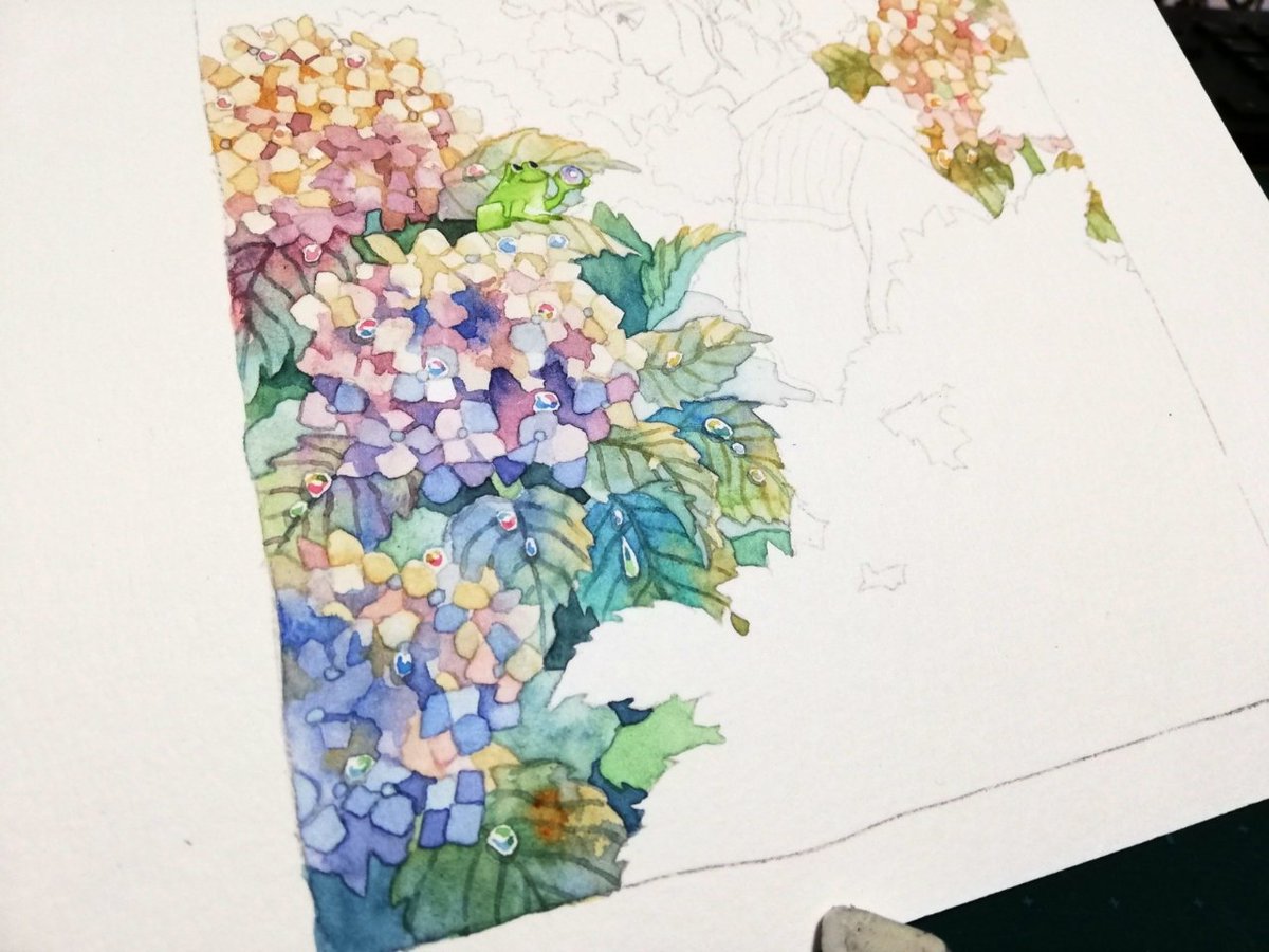 水彩です 枯れた紫陽花 美しくてすき 道端で見かけると立ち止まってしまう まみたのイラスト