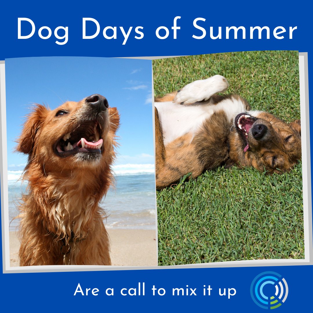 MyWorkChoice's tweet image. Dog Days of Summer got you bored?  #switchitup with flexibility in the palm of your hand, you can work a different schedue each week.  #dogdays #dontbebored