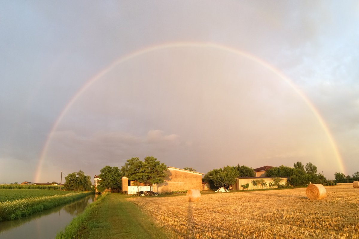 MicRezza's tweet image. 