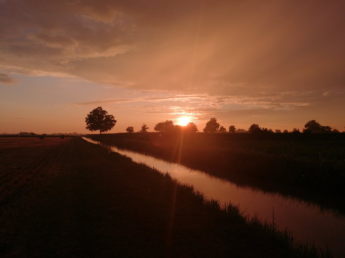 MicRezza's tweet image. 