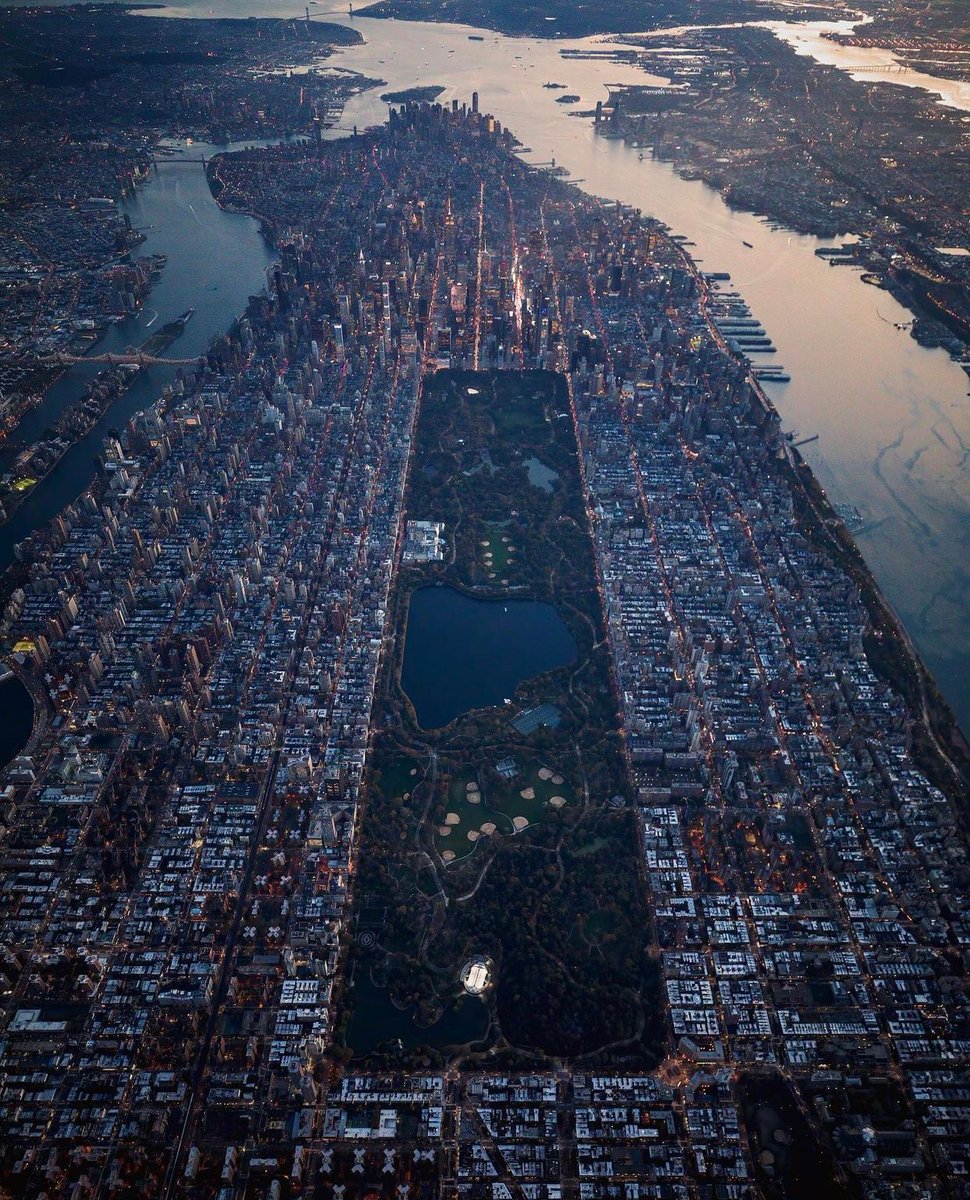 Tripscout tweet media