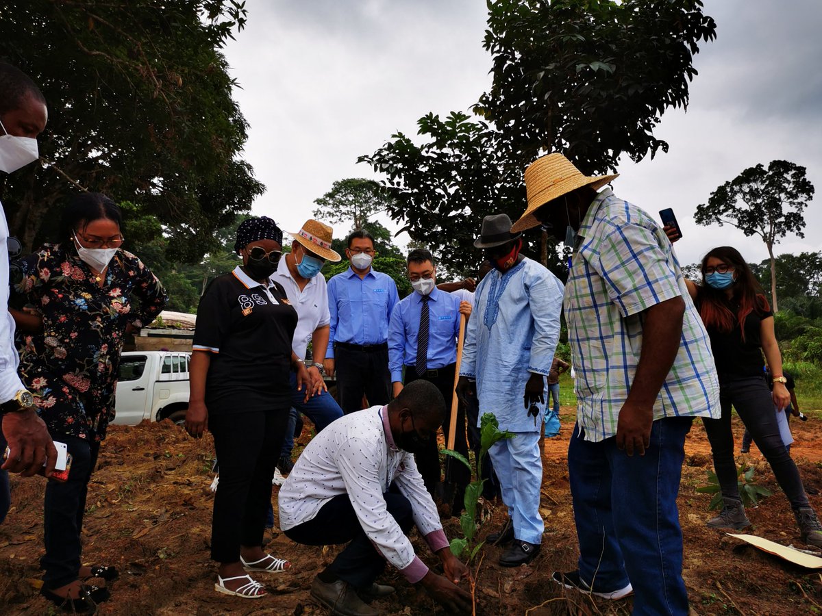 CSCEC_GE's tweet image. China State donó plántulas de café en la región continental de Guinea Ecuatorial, asistieron representantes del gobierno y representantes de agricultores de las comunidades.#CSCEC #GUINEAECUATORIAL #CHINASTATE 👉facebook.com/csceceg/posts/…