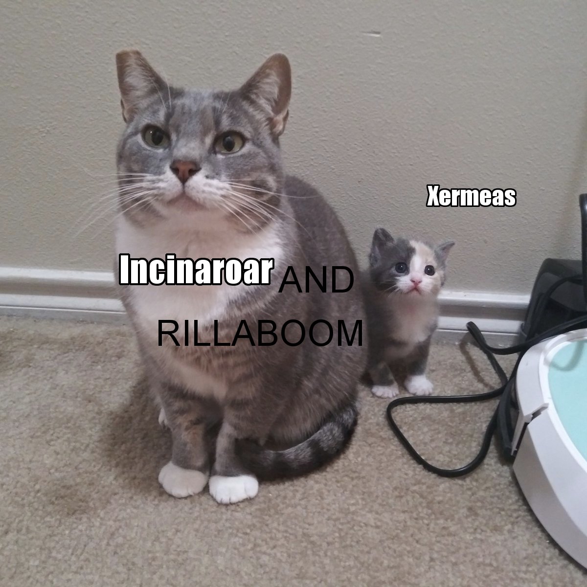 VGC Memes (@vgcmeme) on Twitter photo 