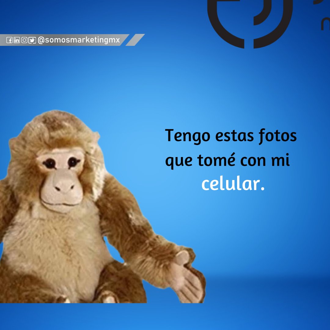 SOMOSmktgMX tweet picture