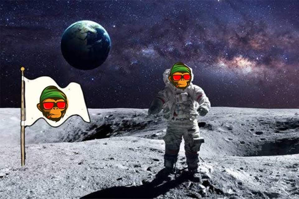 Bubbagenius tweet media
