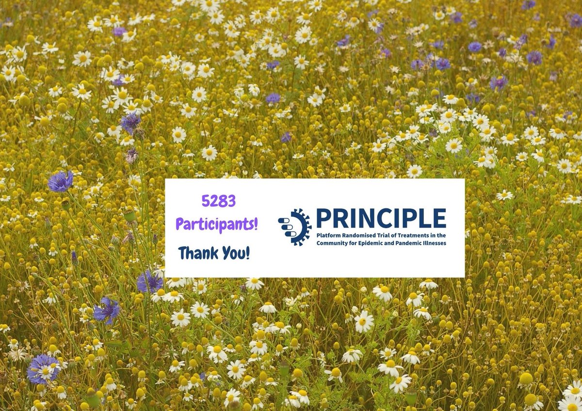 The #PRINCIPLETrial now has 5283 participants! ☀️☺️ Thank you for all your hard work and support 💪 #primarycare #COVID19 #COVIDTreatments #clinicaltrial #ClinicalResearch #BePartofResearch