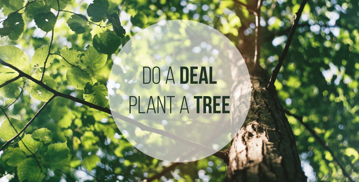 LeeIrvine_'s tweet photo. Lee & Associates Irvine is proud to participate in the Do a Deal, Plant a Tree campaign. For each transaction we close the @arbordayfoundation will plant a tree.
#arborday #treesofinstagram #optoutside #earthfocus #theoutbound #createtoexplore #plantsmakepeoplehappy https://t.co/J1NPUFAHa9