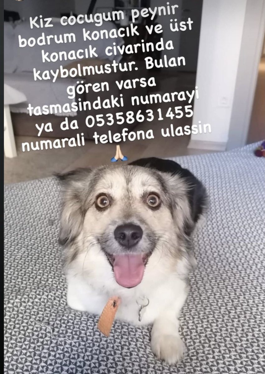 ozbaranzeynep's tweet photo. Paylaşalım mı 🙏🏻 https://t.co/rNBNRnFFZ9