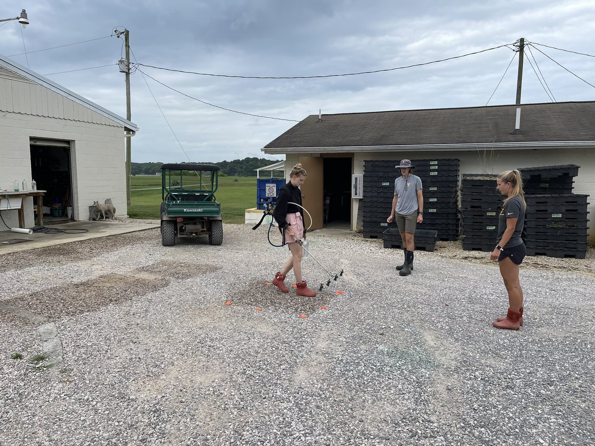 UTTurfWeeds's tweet photo. #TrainingDay here @UTturfgrass. Grad students @turfgirl24 &amp; @ut_BENtgrass teaching undergraduate assistant @brynn_a_johnson to use a small plot research boom for forthcoming PGR research https://t.co/PrGl8Aje9m