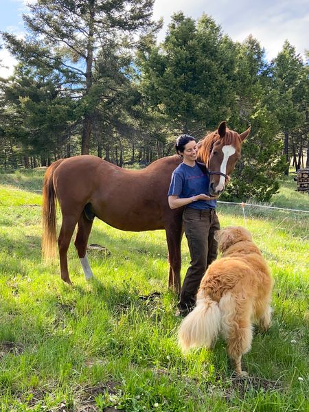 Red Ants Pants tweet media