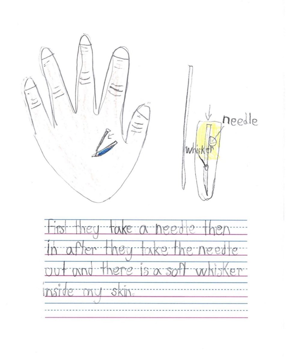 #Roar4Ray tweet media