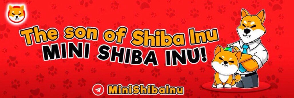 coincoinz1's tweet photo. Here is Mini Shiba Inu🐶
After my daddy Shiba Inu moved to the moon, I have never seen him since.. Will you help me so I can see my daddy again?

TG: https://t.co/ctC81dlaml
Website: https://t.co/FSHr739TPg
Twitter: https://t.co/qoCUJx3AjC 
Presale: 9 July friday 20:00UTC(Dxsale) https://t.co/L5qhN5N8TW