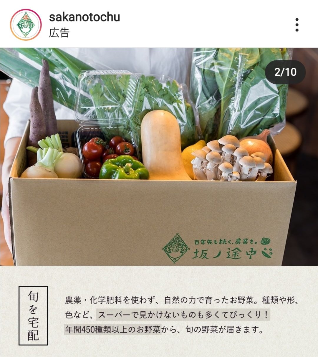 高柳まな Instagramの広告で初めて知った 京都発の株式会社坂ノ途中さん コンセプトが 100年先もつづく 農業を とか 多様性を排除しない とか最高すぎです かっけぇ 癖で採用情報とかも見ちゃったけど トータル素敵すぎたので思わず野菜定期