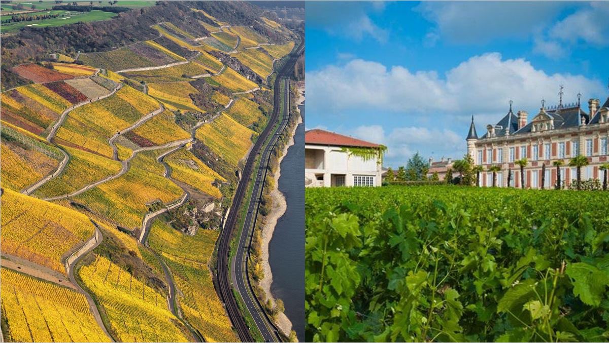 CLINK DIFFERENT
ATTN CALIFORNIA RESIDENTS:  SEATS ARE STILL AVAILABLE FOR 7/27, 8/10, &amp; 8/24! APPLY TODAY TO RESERVE YOUR SPOT! Take a virtual trip to Bordeaux &amp; Germany. Spend time w/ owners, winemakers &amp; other producer Reps as they share their stories &amp; wines w/ you!Link In Bio