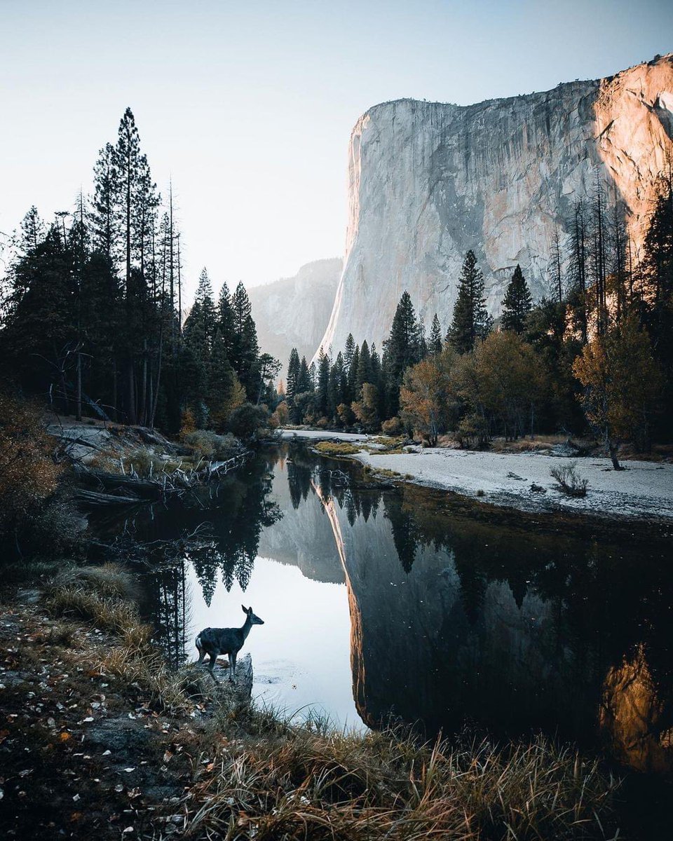 Yosemite National Park, Usa 🇺🇸