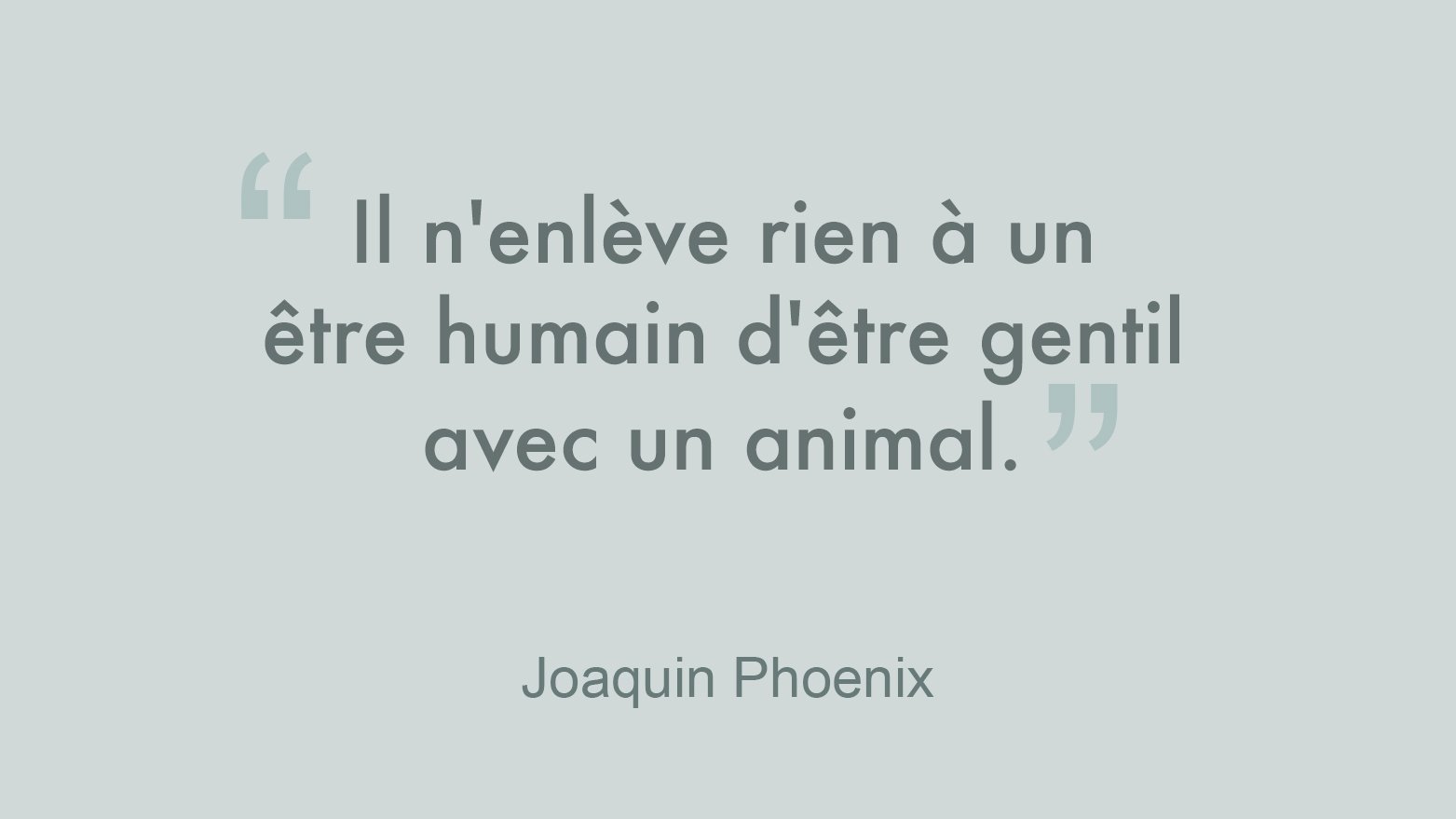 Ashoka Vegan Bags It Takes Nothing Away To A Human To Be Kind To An Animal Joaquin Phoenix Ashoka Veganbags Ashokaparis Citation Petafashionaward Vegan Anticorrida Animalfreedom Liberationanimale Quote T Co Q055uhs8do