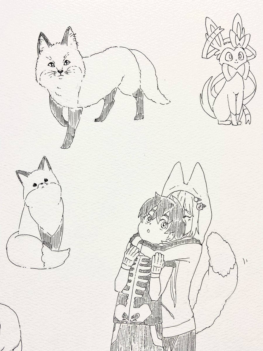 狐とニンフィア。
夏羽君と紺ちゃん。 