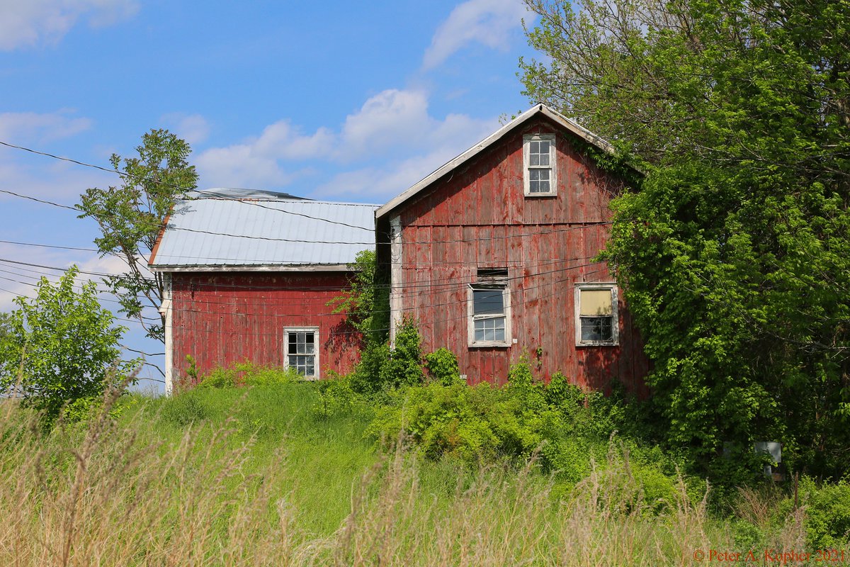 peterkopher's tweet image. "Old Barn on NY-94"
Spotted on NY-94 in Warwick, NY.
peterkopher.com/galleries