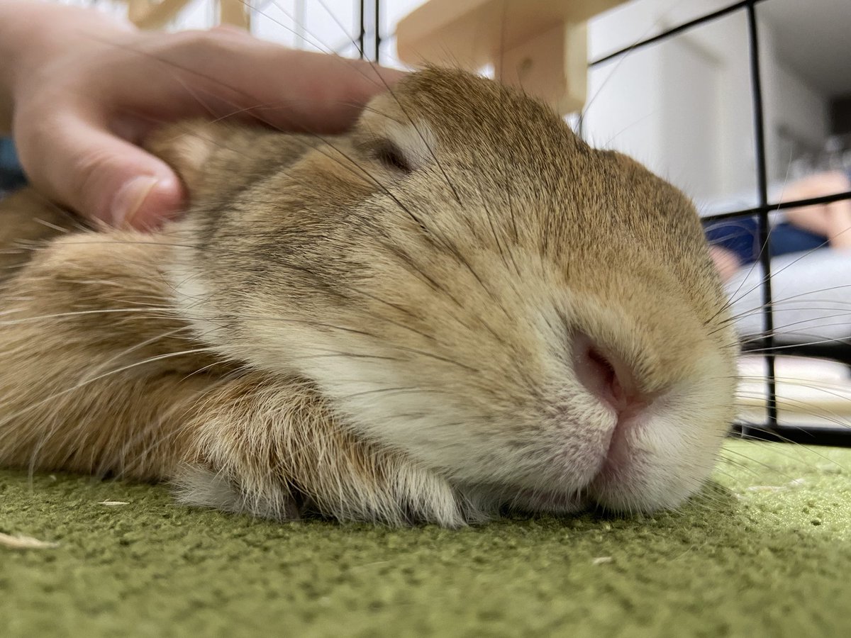 昨日も大好きだったよ💕
今日も大好きだよ❤️
明日も大好きだよ💖
ずぅーっと大好きだよ🎉🥰