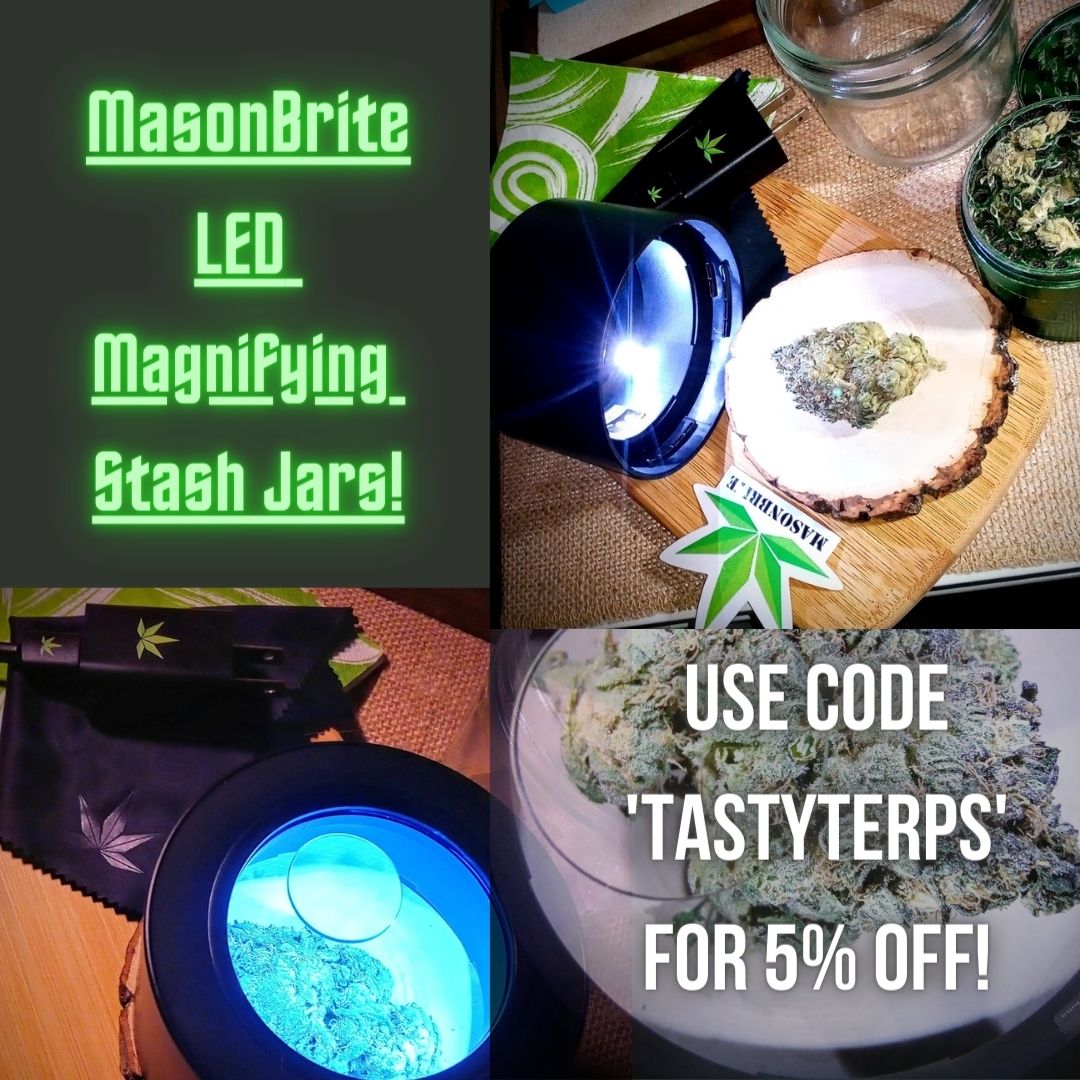 Get a closer look at what's in your stash jar!! #420life #CannabisCommuntiy #Mmemberville #SmokeShops #CannabisAccessories 
BUY NOW --- masonbrite.com/?ref=adam