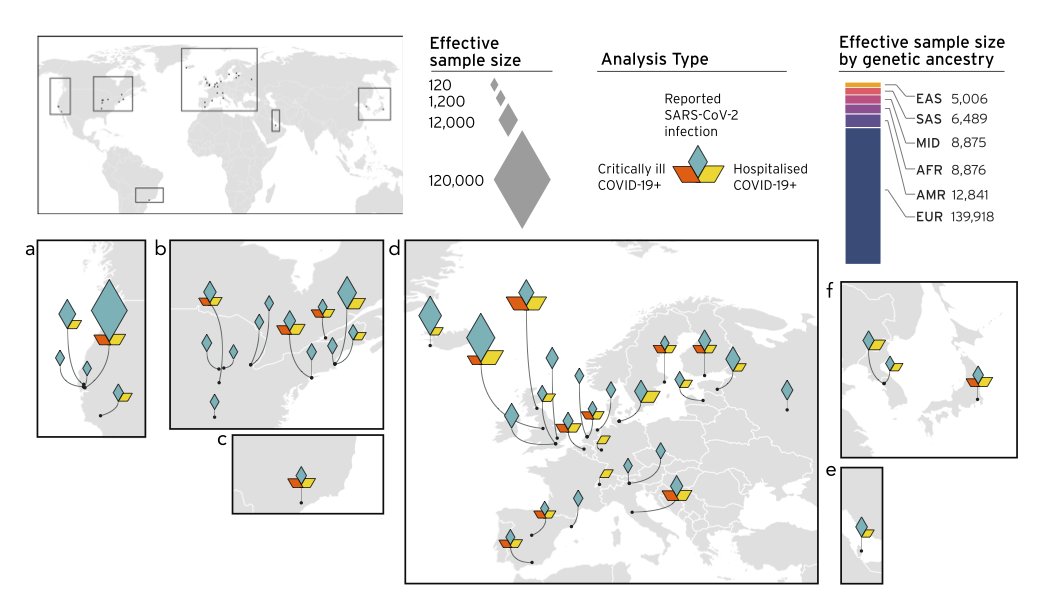 Today we are thrilled to announce the #COVID19 HGI manuscript is published @Nature nature.com/articles/s4158…

In this study, we report that the human genome significantly contributes to an individual’s response to SARS-CoV-2 infection. 
1/