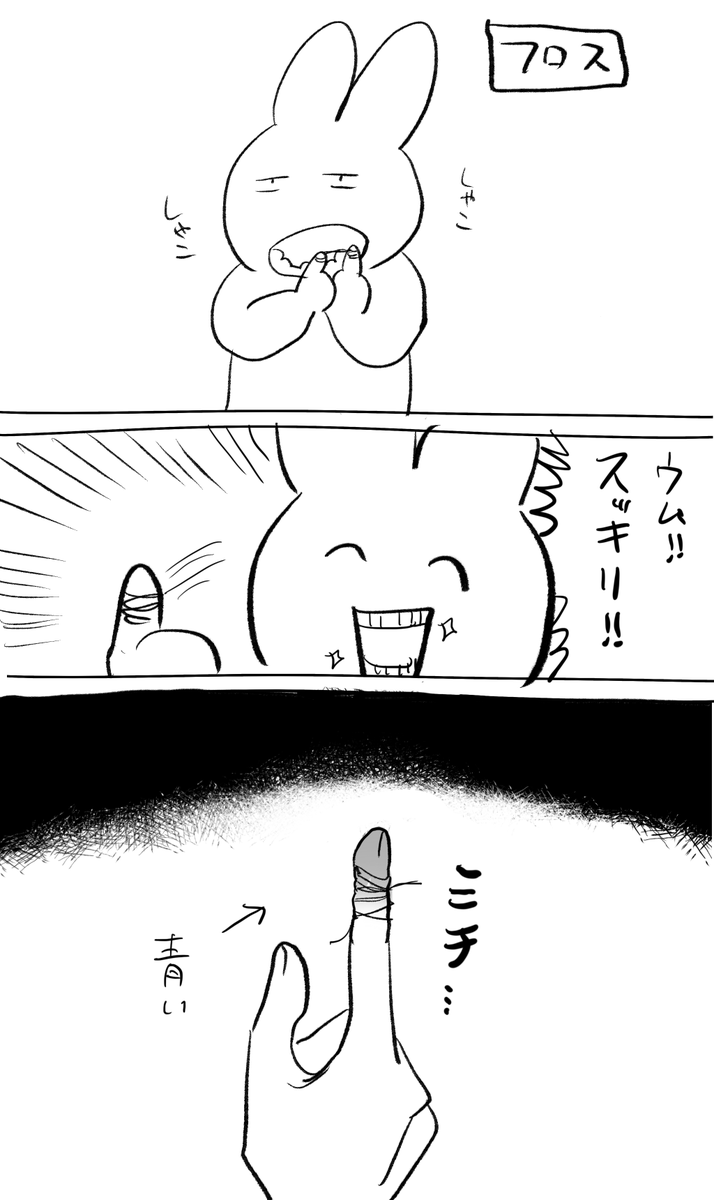 フロス下手な人の日記 