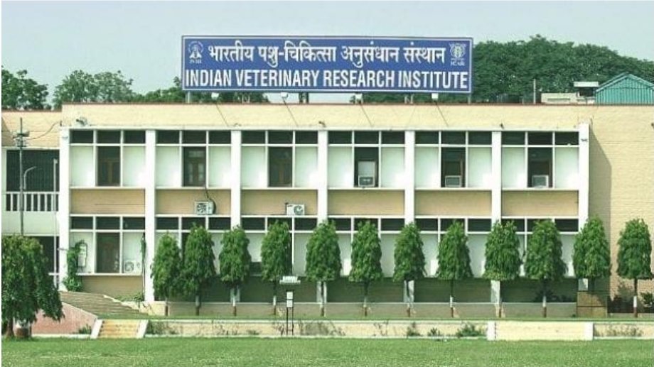 ItsThakurNavjot's tweet photo. @PRupala
@drsanjeevbalyan
@ivri_1889
#OpenIVRI
Veterinary doctors are having online practical classes at IVRI
How a surgeon could do online surgery? How a gynaecologist can do online caesarean sec. & pregnany diagnosis? What kind of doctors we are producing for society? https://t.co/iwLTjTtEHU