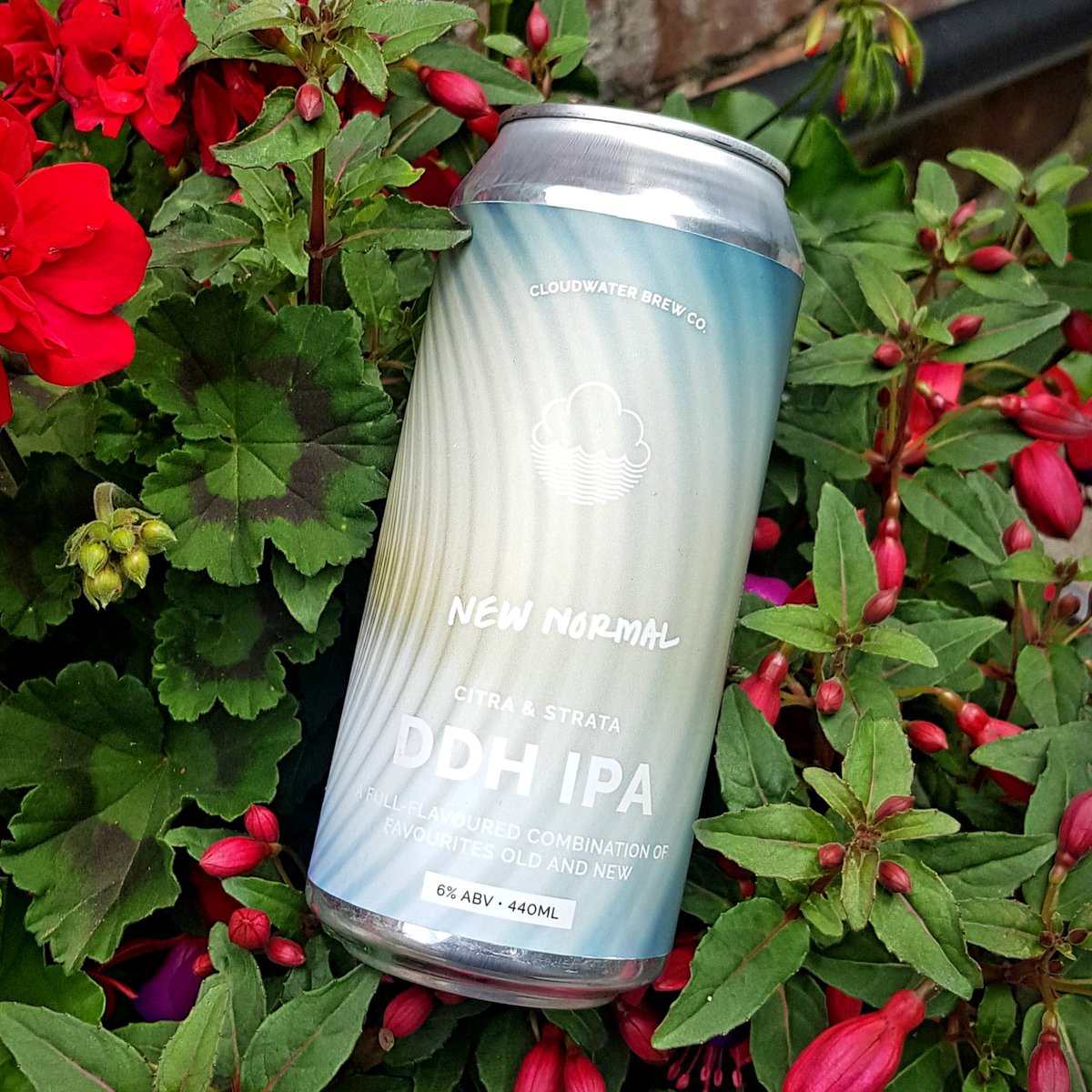 temple_beer's tweet photo. 4 fresh in from @Cloudwater ... 6% Citra & Strata DDH IPA, 6.2% Tropical Stout, 8% re-brew of one of last years most popular DIPA's and Number 4 in the Indie series TIPAs, this time featuring Idaho 7 and Sabro. #DrinkFresh #HopsFadeFast https://t.co/KG4SHjnnoA