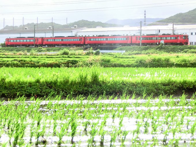 点字のtwitterイラスト検索結果