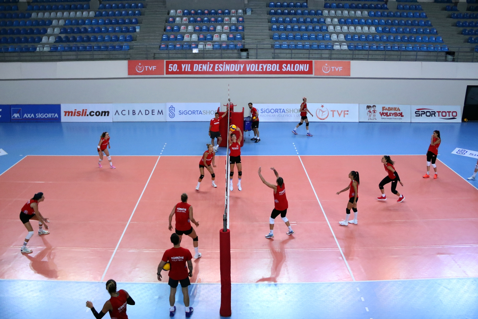 Worldofvolley Com Wofvolley Twitter