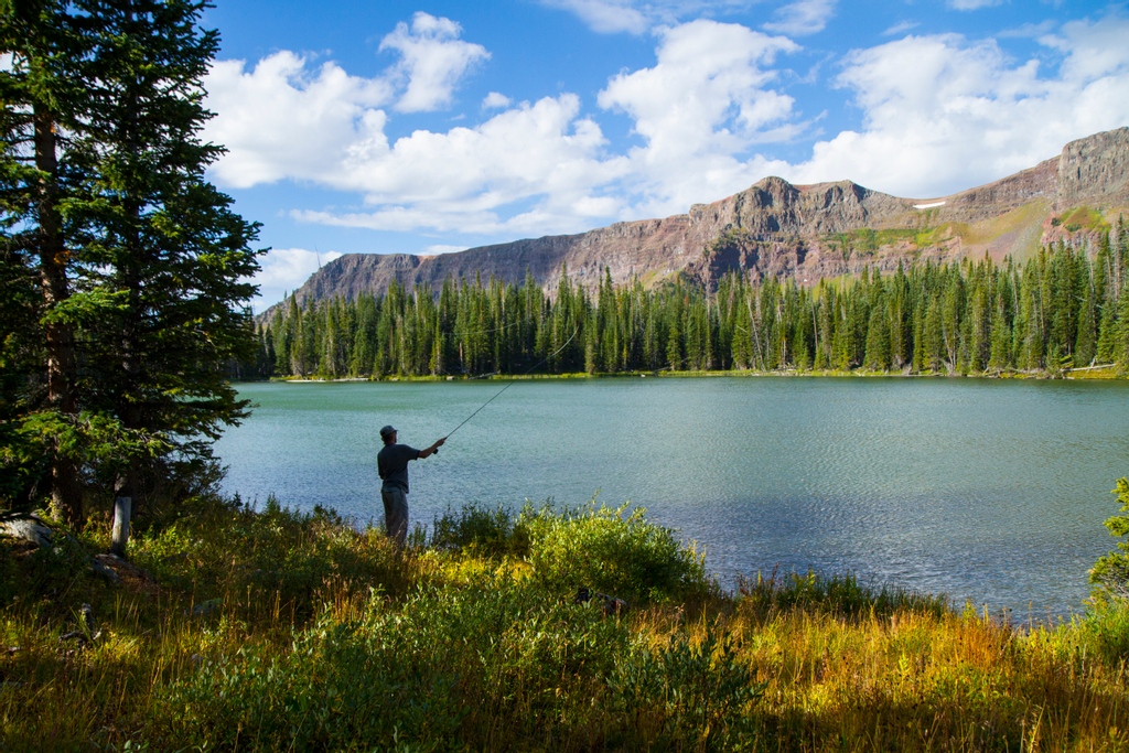 Looking to cast a few lines on your visit? Check out some of our favorites spots:

🎣 Sarvis Creek
🎣 Elk River
🎣 Pearl Lake
🎣 Fetcher Pond
🎣 Stagecoach Reservoir 
🎣 1 of the 100+ lakes found in Flat Tops Wilderness

Don't forget your fishing license!