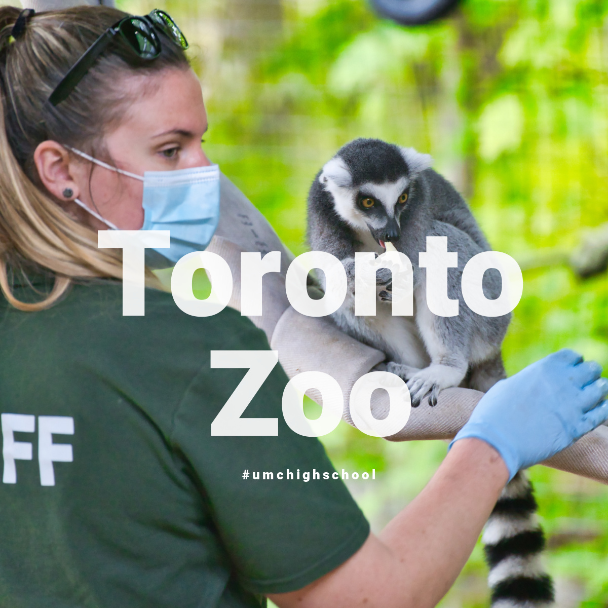 🏖️ 8 Best Places to Visit in Summer

If you’re looking for fun things to do during the summertime, you’re in the right place. The Toronto Zoo is one of the popular places to visit in Canada.🦍🦒🐅🦚🦝

Explore Toronto with UMC together! 🇨🇦🌍

📷 Anthony Yin

#UMC #umchighschool