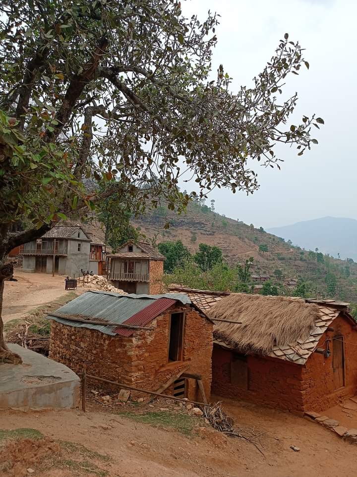 untoldperiods's tweet photo. Chhau Goth 🩸🩸🩸

I am a primary teacher by profession. I am accustomed to living here because I have no alternative right now.

#untoldperiodstories #achham #menstruationhut #महिनावारीकाकथा #menstruationmatters #menstrualhealth #period 

Full Story: https://t.co/aS90JsGwnA https://t.co/uTgiaVqqQ4