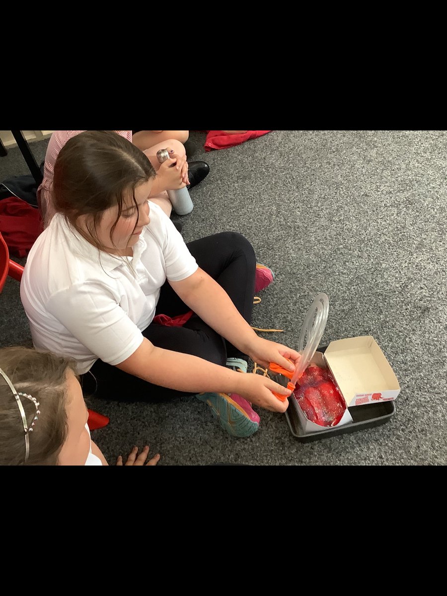 TudhoeColliery's tweet photo. Year 4 have had a fantastic day with Tumbles and Grumbles. Caroline has taught us lots of extremely vital skills to ensure we can help ourselves and others in a medical emergency! 🚑👩‍⚕️👨‍⚕️🩹 https://t.co/MXZexM9Kfu