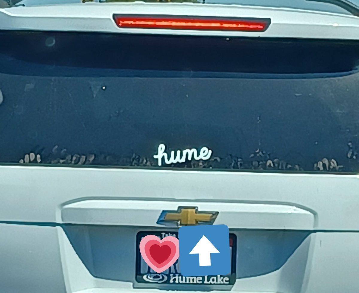 MsBethCates's tweet image. I thought this was a @davidhumeinst fan and was impressed at first. Apparently there's a lake!